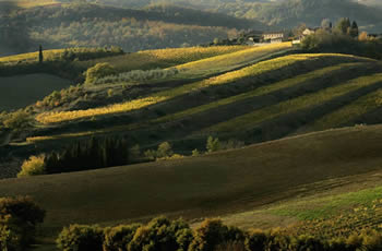 Il territorio della Toscana